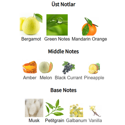 Amber Oud Aqua Dubai Al Haramain Perfumes