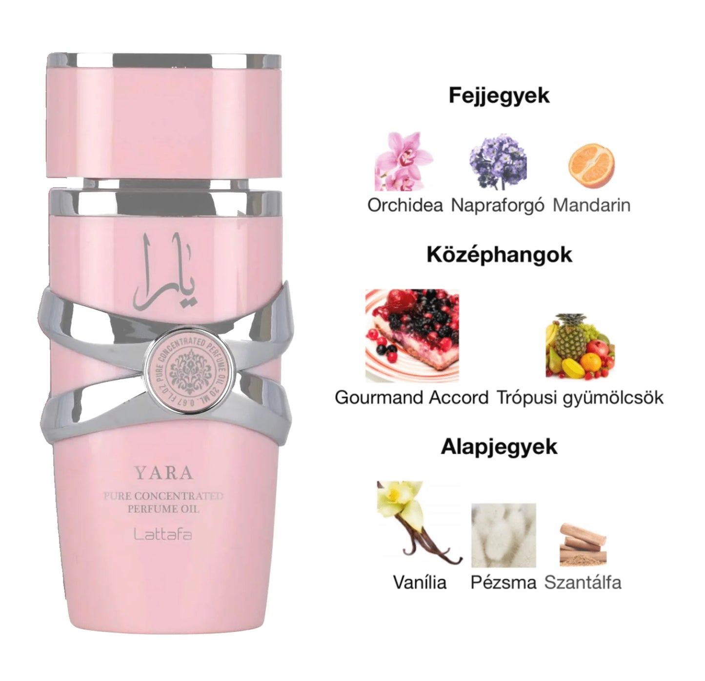 Yara Rose –  Lattafa