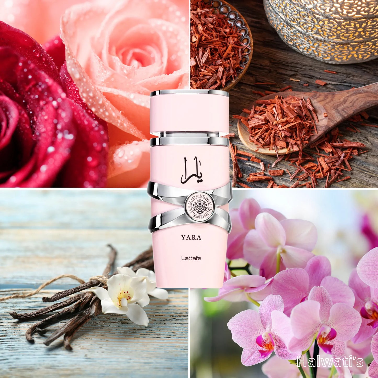 Yara Rose –  Lattafa