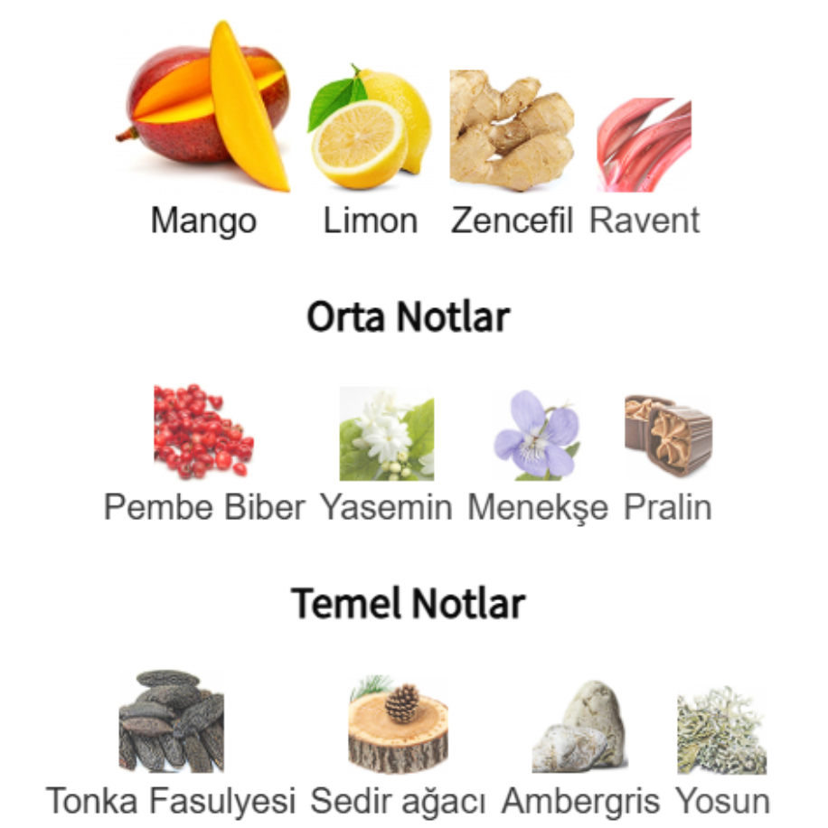 Vulcan Feu - God Of Fire