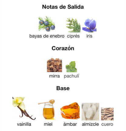 Nitro White Dumont - Stronger With You