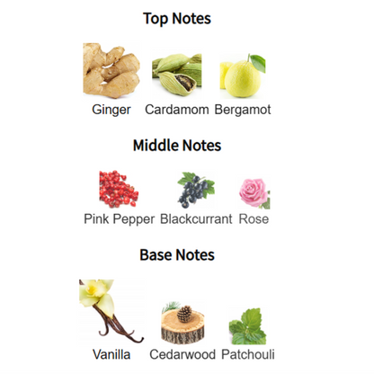 Spectre Ghost - Nishane Ani