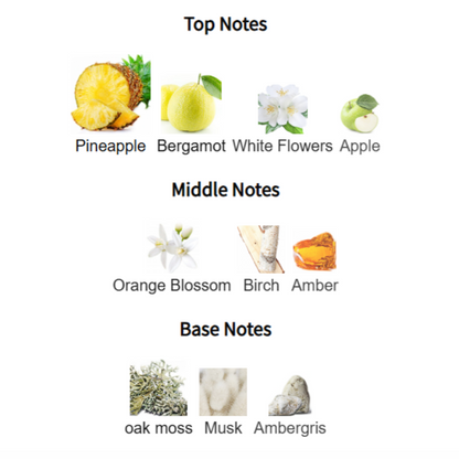 Supremacy Collector's Edition - Aventus Absolu